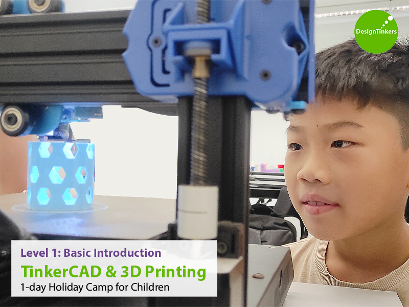 DesignTinkers June Holiday Camps 2024 - Level 1: Basic Introduction to TinkerCAD + 3D Printing 